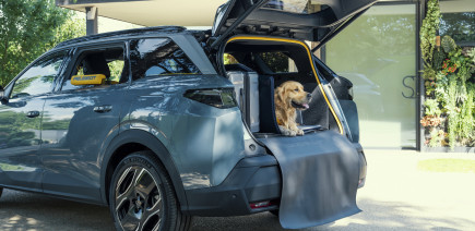 Peugeot adapte son 5008 électrique pour les propriétaires de chiens !